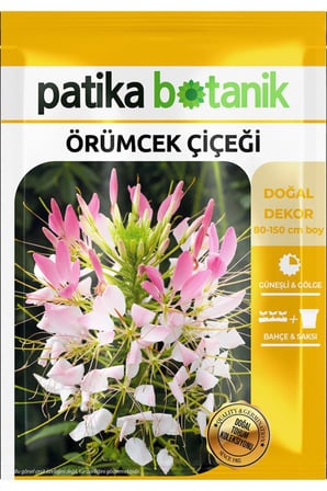 50 Adet Örümcek Çiçeği Tohumu (Cleome hassleriana)