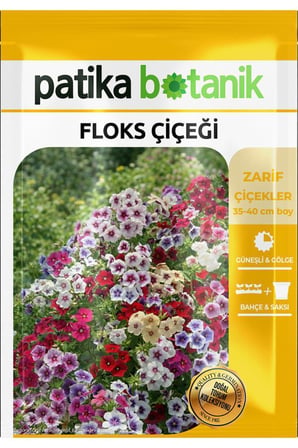 100 Adet Floks Çiçeği Tohumu (Phlox Drummondii Grandiflora)