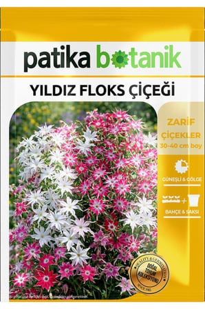 100 Adet Yıldız Floks Çiçeği Tohumu (Phlox drummondii cuspidata)