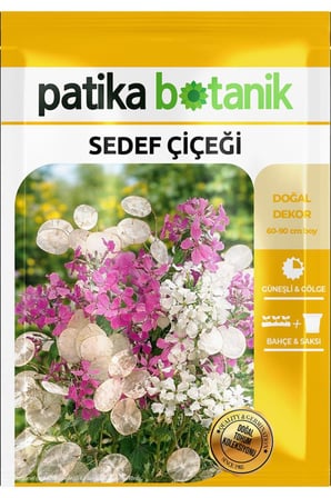 30 Adet Sedef Çiçeği Tohumu (Lunaria Biennis)