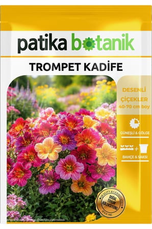 100 Adet Trompet Kadife Çiçek Tohumu (Salpiglossis Sinuata)