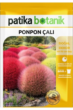 50 Adet Ponpon Çalı Çiçek Tohumu (Kochia scoparia red globe)