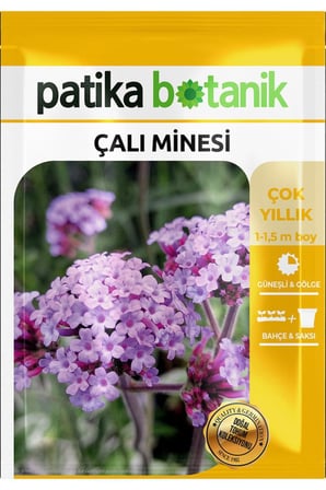 100 Adet Çalı Minesi Çiçek Tohumu (Verbena Bonariensis)