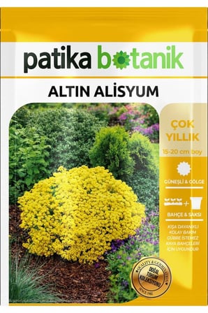 50 Adet Altın Alisyum Çiçek Tohumu (Alyssum saxatile golden fall)