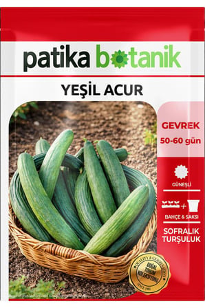 30 Adet Yeşil Acur Tohumu