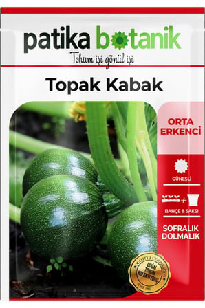 15 Adet Ata Tohumu Topak Kabak