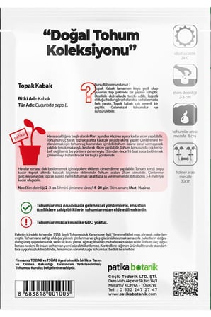 15 Adet Ata Tohumu Topak Kabak
