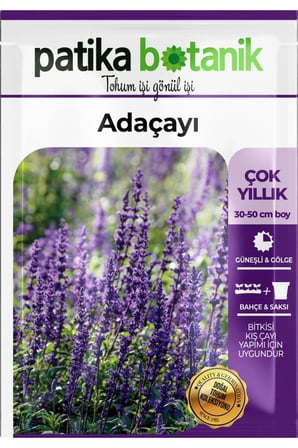 40 Adet Adaçayı (Salvia Officinalis) Çiçek Tohumu 