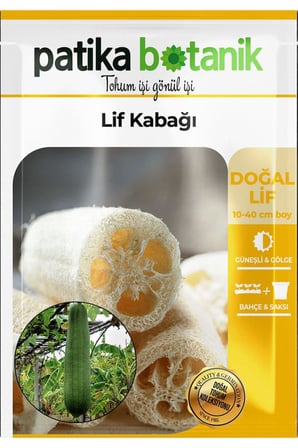 5 Adet Lif Kabağı Tohumu (Luffa Aegyptiaca)