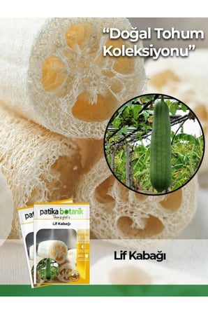 4 Adet Ata Tohumu Lif Kabağı (Luffa Aegyptiaca)