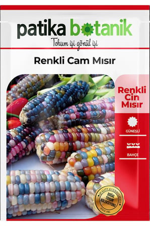 12 Adet Ata Tohumu Renkli Cam Mısır