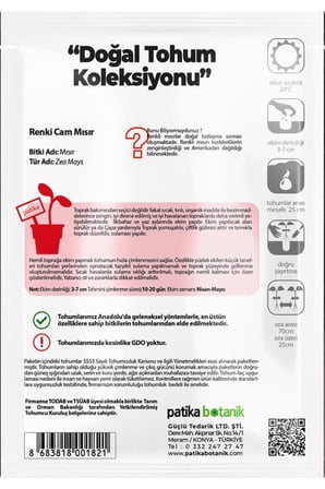 12 Adet Ata Tohumu Renkli Cam Mısır