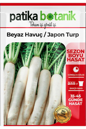 400 Adet Ata Tohumu Japon Turp