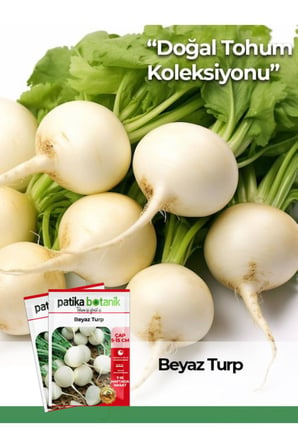400 Adet Ata Tohumu Beyaz Turp