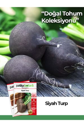 500 Adet Siyah Turp Tohumu
