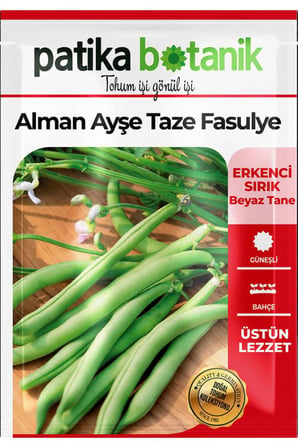 40 Adet Ata Tohumu Alman Ayşe Fasulye