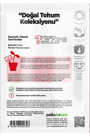 40 Adet Ata Tohumu Hanımeli Fasulye