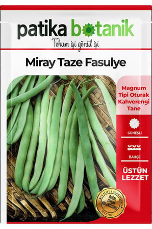 40 Adet Ata Tohumu Miray Fasulye