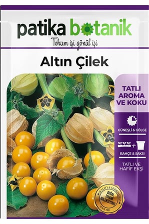 25 Adet Ata Tohumu Altın Çilek