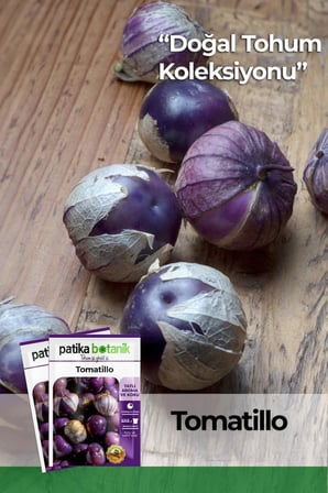 25 Adet Ata Tohumu Tomatillo