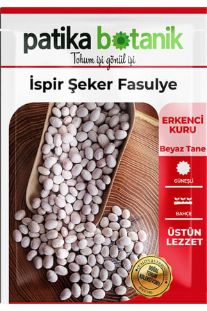 40 Adet Ata Tohumu İspir Şeker Fasulye