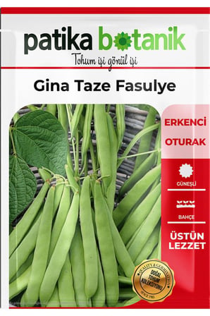 40 Adet Ata Tohumu Gina Fasulye