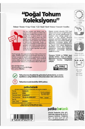 40 Adet Ata Tohumu Gina Fasulye