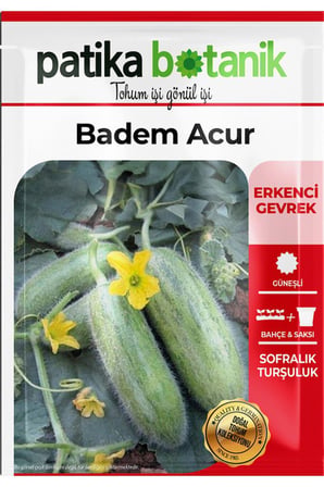25 Adet Ata Tohumu Badem Acur