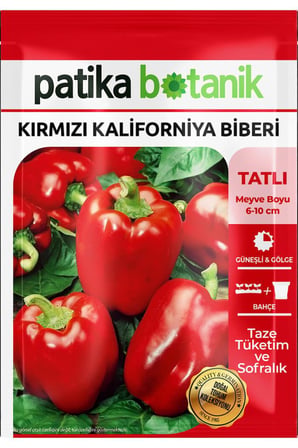 80 Adet Ata Tohumu Kırmızı Kaliforniya Biber