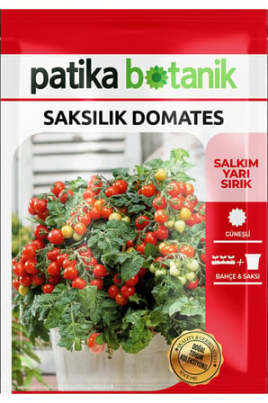 80 Adet Ata Tohumu Saksılık Domates