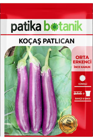 40 Adet Ata Tohumu Koçaş Patlıcan