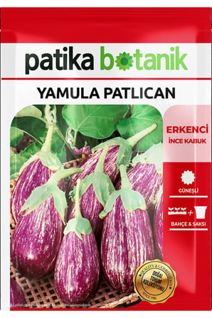 40 Adet Ata Tohumu Yamula Patlıcan