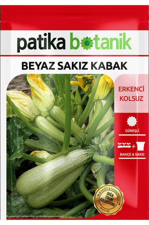 20 Adet Beyaz Sakız Kabak Tohumu