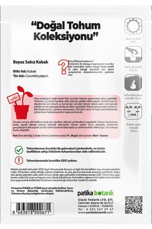 20 Adet Beyaz Sakız Kabak Tohumu