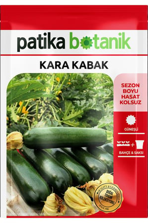 25 Adet Kara Kabak Tohumu