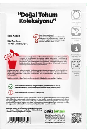 25 Adet Kara Kabak Tohumu