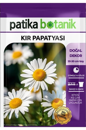 100 Adet Kır Papatyası / Tıbbi Aromatik Papatya Tohumu (Chamomillae Romanae)