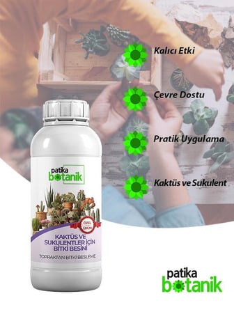 500 ML Kaktüs ve Sukulentler İçin Henel Besin - Topraktan