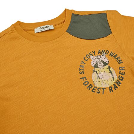 Panço Erkek Çocuk Baskı Detaylı Uzun  Kollu T-Shirt Oranj