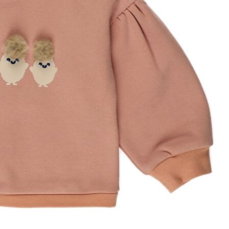 Panço Kız Çocuk Baskı Detaylı Sweatshirt Somon