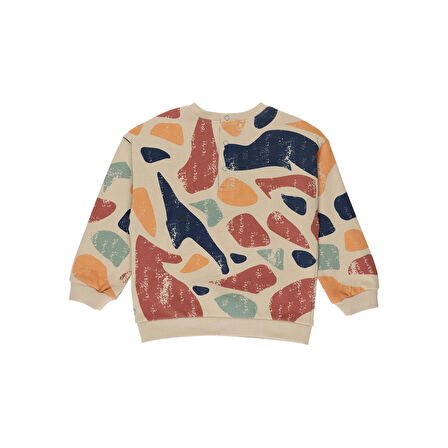 Panço Erkek Çocuk Renkli Baskılı Sweatshirt Bej