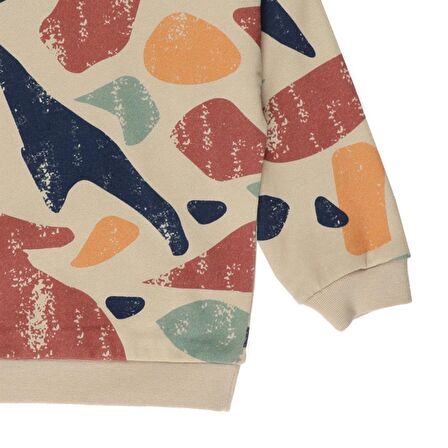 Panço Erkek Çocuk Renkli Baskılı Sweatshirt Bej