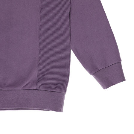 Panço Erkek Çocuk Baskılı Sweatshirt Mor