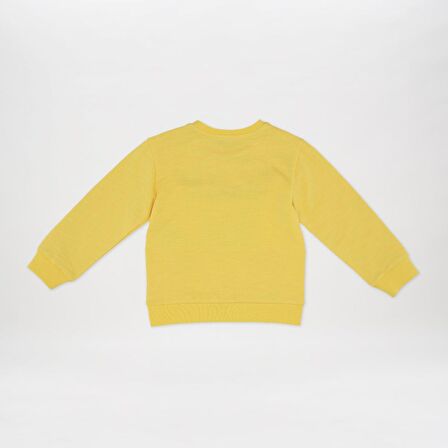 Panço Erkek Çocuk Baskı Detaylı Sweatshirt Sarı