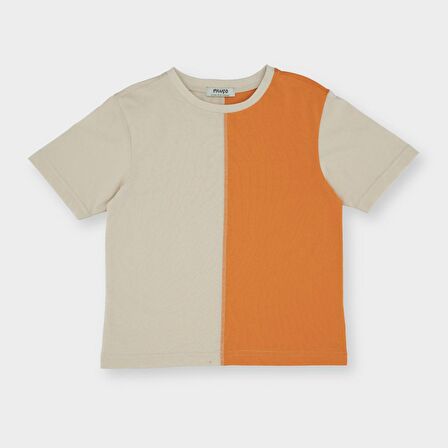 Panço Erkek Çocuk Renkli Blok Parçalı Kısa Kollu T-Shirt Bej