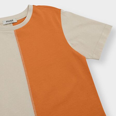 Panço Erkek Çocuk Renkli Blok Parçalı Kısa Kollu T-Shirt Bej