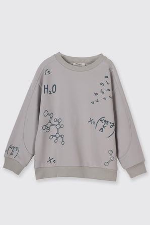 Erkek Çocuk Baskılı Sweatshirt Taş