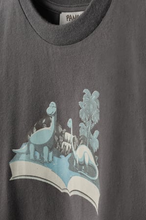 Erkek Çocuk Dinazor Baskılı T-Shirt Antrasit