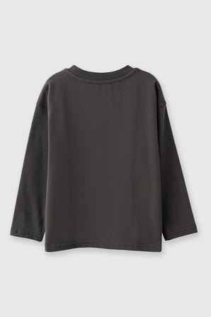 Erkek Çocuk Dinazor Baskılı T-Shirt Antrasit