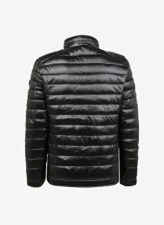 U.S. Polo Assn. Siyah Erkek Mont MORE23K